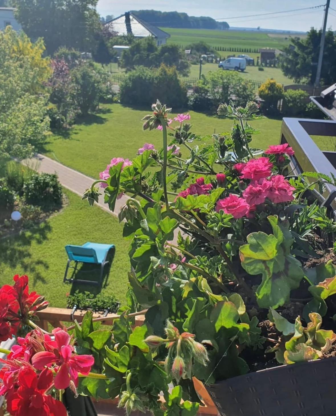 Apartamenty Na Baltyckiej Choczewo Екстер'єр фото